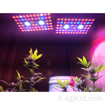 Miglior LED Grow Light 1200w per piante da interno